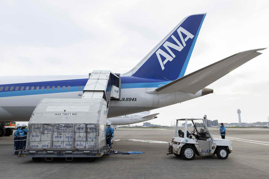 ANA Holdings announces net zero emissions target by 2050
