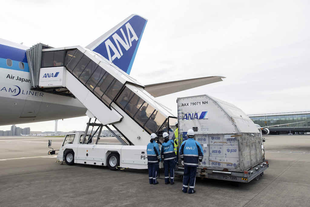ANA looks to expand cargo-only passenger jet flights