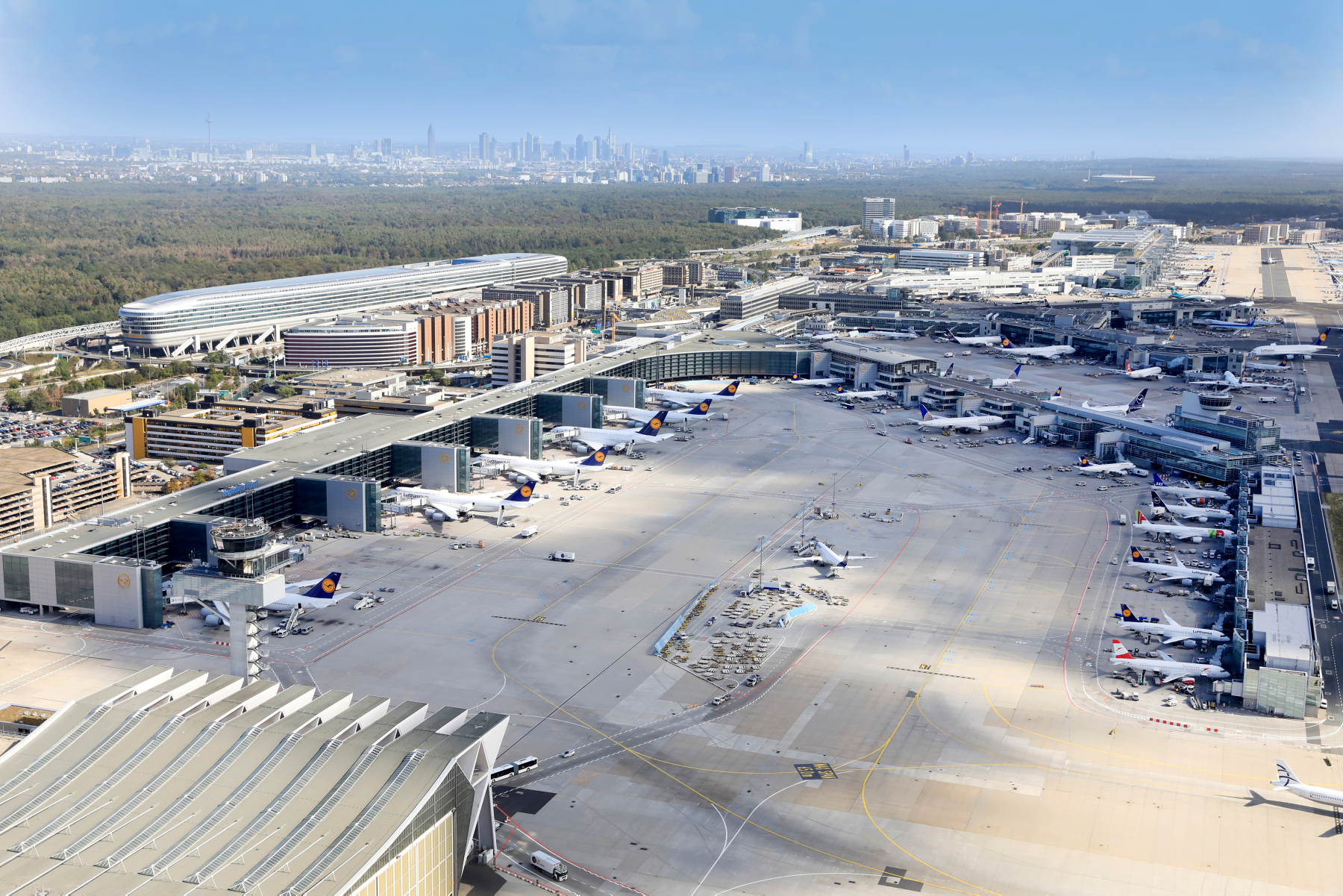 Frankfurt airport weekly data: cargo down 12.9%