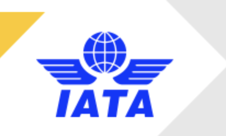 IATA calls for ‘urgent’ action to help civil aviation