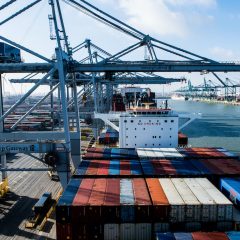 Antwerp port container volumes rise 1.3% in 2020