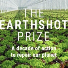 DP World is founding partner of the Earthshot Prize