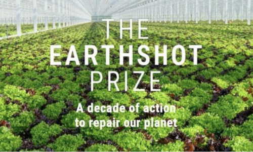 DP World is founding partner of the Earthshot Prize