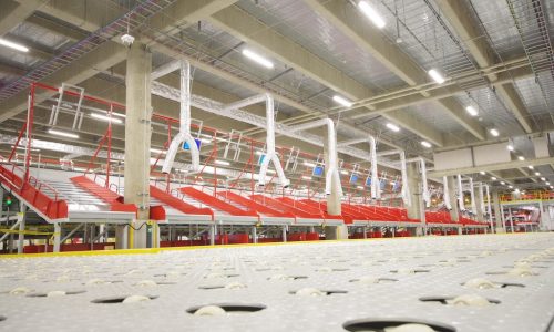 Sorted: DHL’s new Osaka distribution centre in Japan