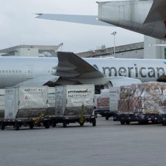 Vaccines: American Cargo trial flights from Miami to South America