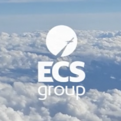 ECS offers cargo revenue optimisation to clients