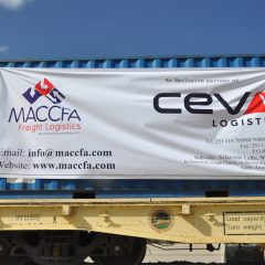 CEVA expands African network with joint ventures in Egypt and Ethiopia