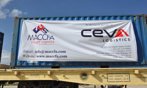 CEVA expands African network with joint ventures in Egypt and Ethiopia