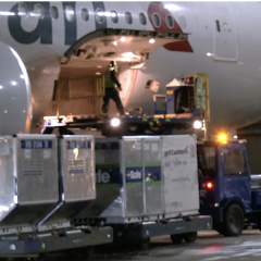 American Airlines transports first COVID vaccine shipment