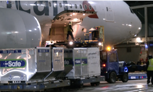 American Airlines transports first COVID vaccine shipment