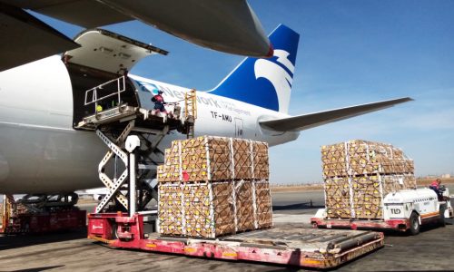 Network Airline Management transports more than 1,000 tons of flowers for Valentine’s Day