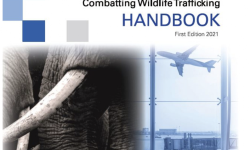ACI guidance for airports in fighting wildlife trafficking