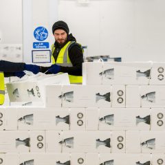Big catch: K+N expands perishables network with Norway‘s Salmosped