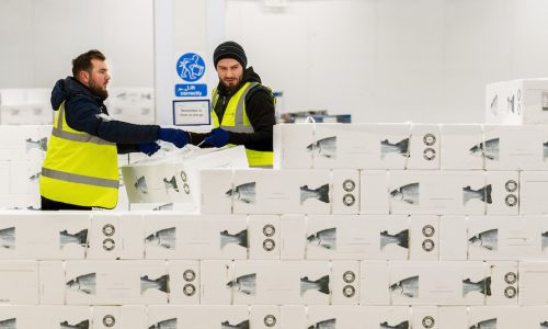 Big catch: K+N expands perishables network with Norway‘s Salmosped