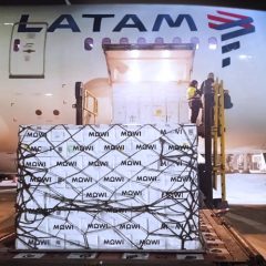 LATAM Cargo goes live with e-bookings on WebCargo￼￼